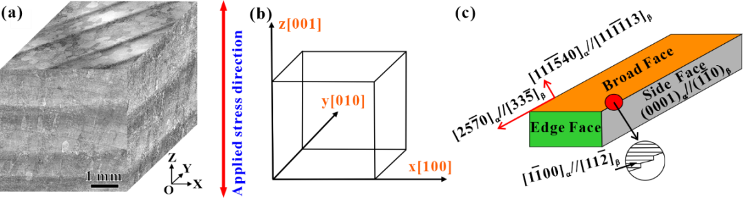 c5e60e8bb259ffdd8b9f9959b8c440e4.jpg