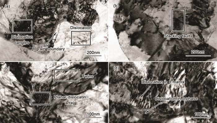 dc2698e0-ad4a-4988-b605-04f977a69d80-F008.png