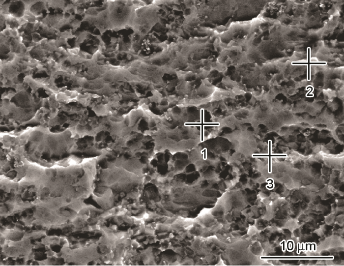 08b03191-fe8c-4132-82be-d529bb9ee3c9-image005.png