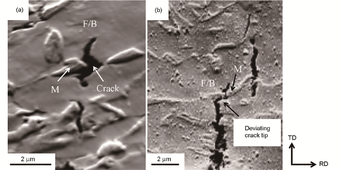 e0687478-14f5-4024-b2d7-6a6dcf766448-F003.png