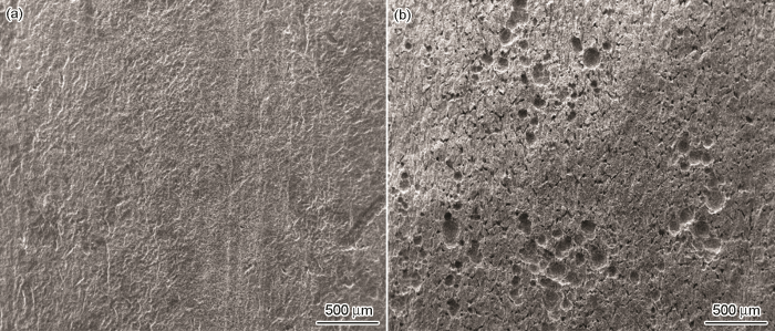 f991993b-261c-4ded-a037-1589e52dc25e-F006.png