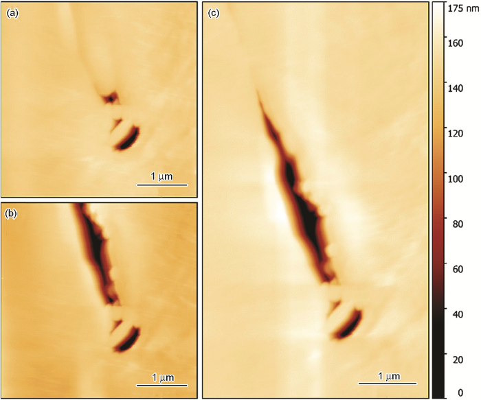 AF8AFDBB-28E3-4e1e-8D49-D008A3E26C03-F011.png