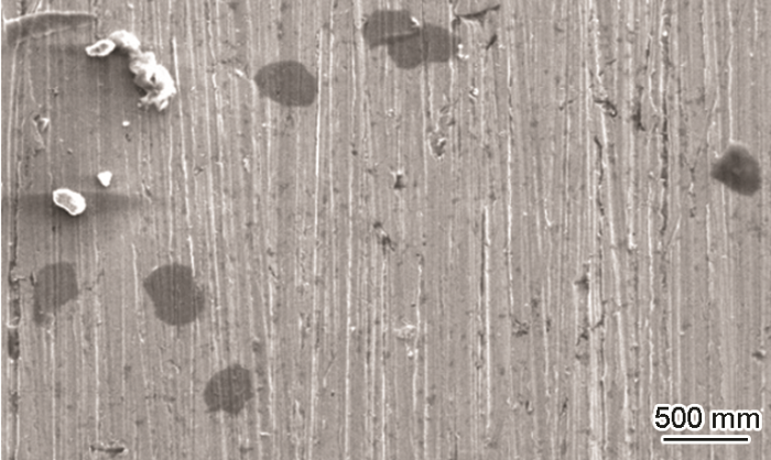 1C78FDC4-8E09-4b0d-9D9D-761E5089F3C2-F005.png