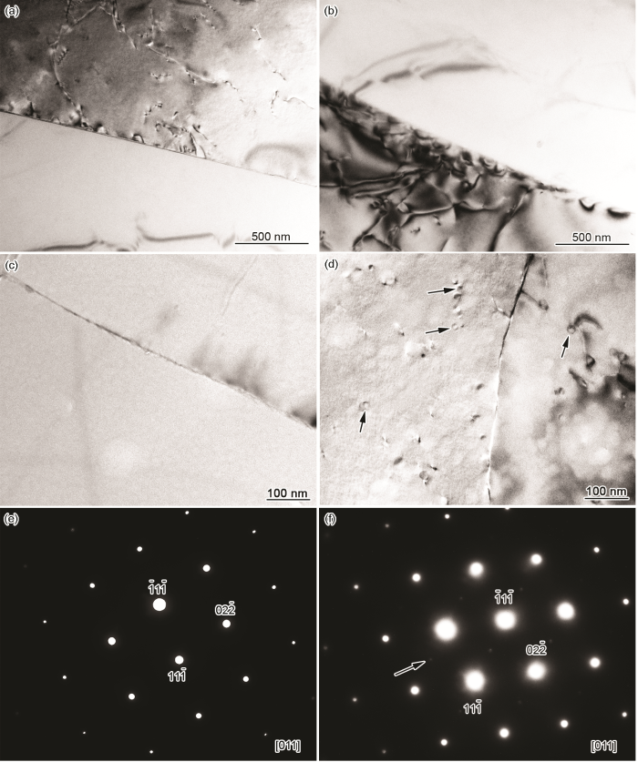 31854058-c4f1-4ca2-9c63-ea77394fd93d-image006.png
