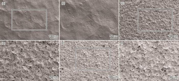 FD6CE252-91BA-4e8d-97AC-A5A36F4D6529-F002.jpg