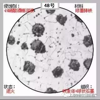 640?wx_fmt=jpeg&tp=webp&wxfrom=5&wx_lazy=1&wx_co=1.jpg