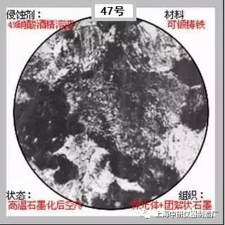 640?wx_fmt=jpeg&tp=webp&wxfrom=5&wx_lazy=1&wx_co=1.jpg