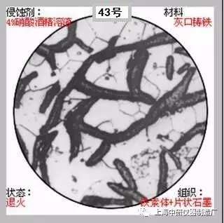 640?wx_fmt=jpeg&tp=webp&wxfrom=5&wx_lazy=1&wx_co=1.jpg